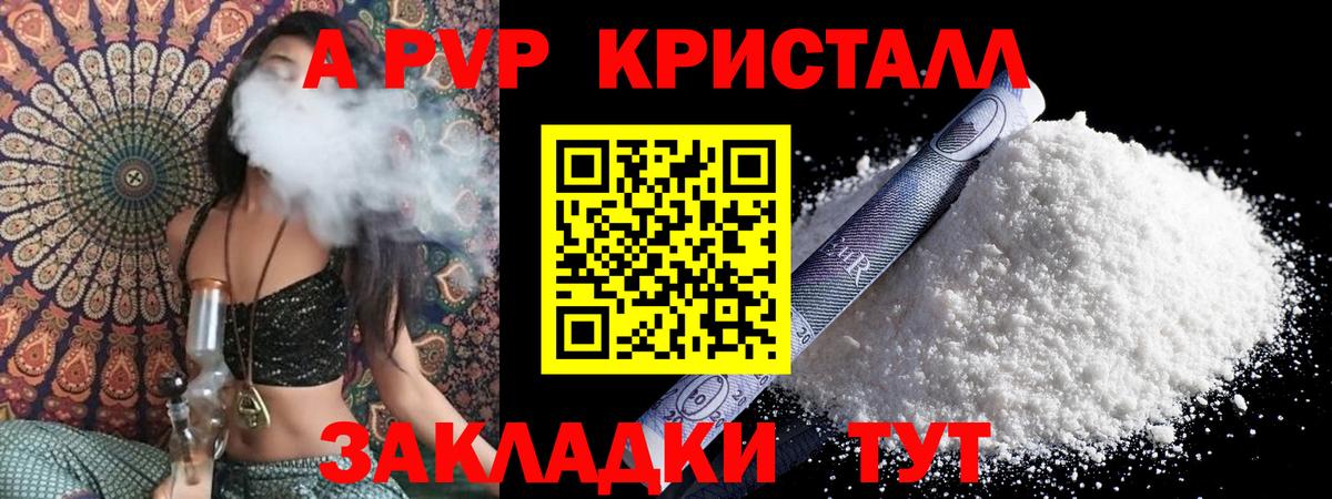 A PVP крисы CK Новочеркасск