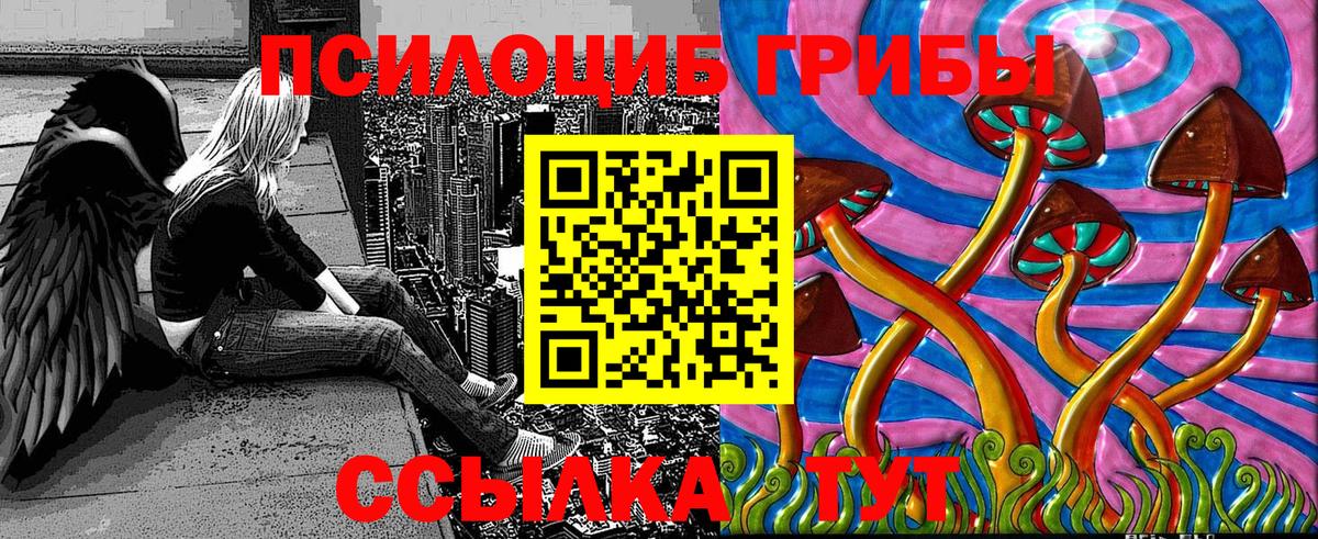 где продают   Псилоцибиновые грибы GOLDEN TEACHER  Новочеркасск  Вход с VPN  Галлюциногенные грибы Magic Shrooms 